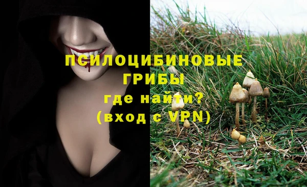 амф Семилуки