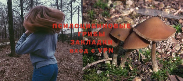 гашик Абинск