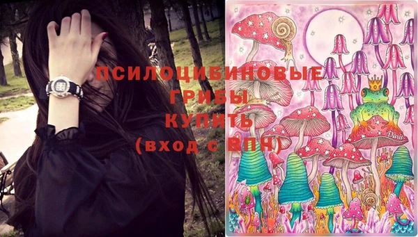 крисы Губаха