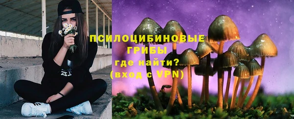 кокс Абдулино