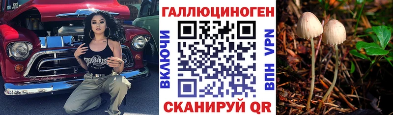 где можно купить   Истра  hydra ONION  Псилоцибиновые грибы ЛСД 