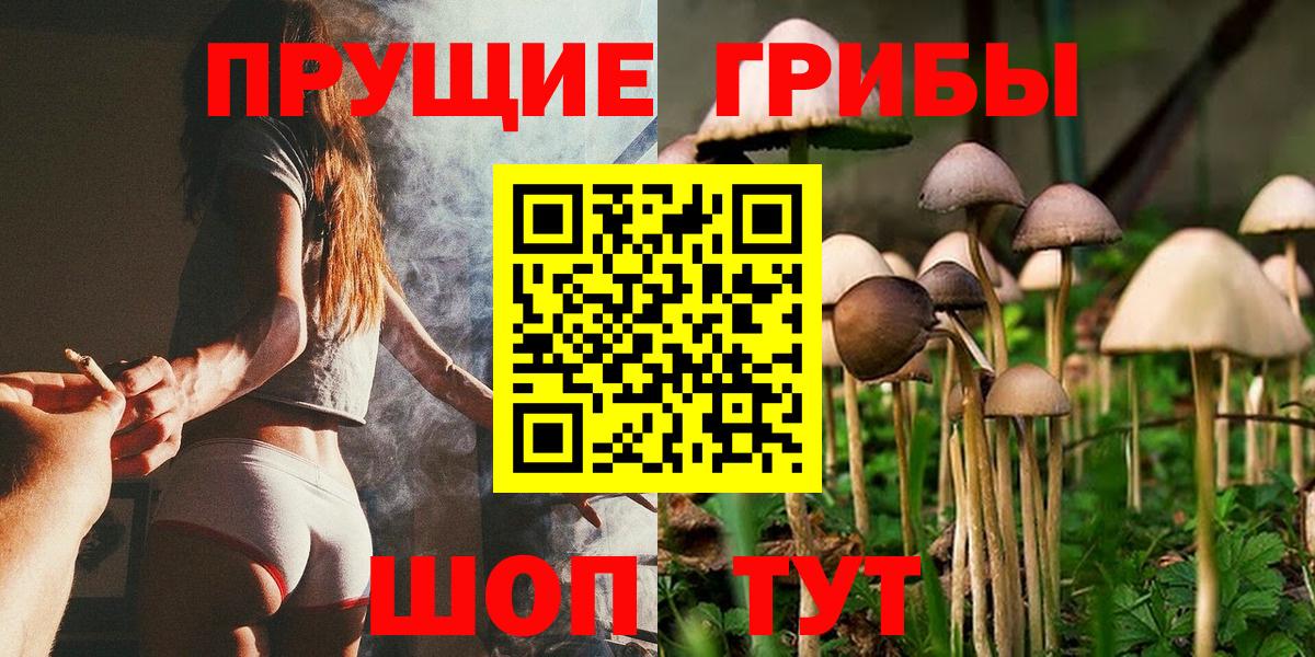 Истра  Галлюциногенные грибы прущие грибы  Галлюциногенные грибы Psilocybine cubensis  Вход с VPN 