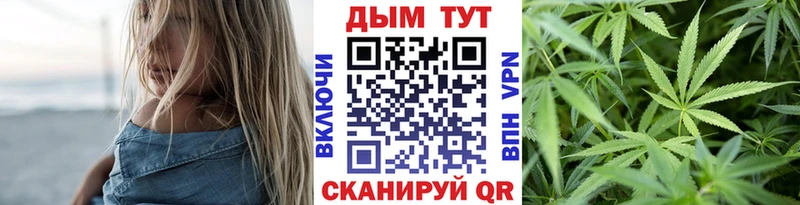 ссылка на мегу зеркало  Истра  Каннабис SATIVA & INDICA 